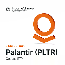 Understanding Palantir Technologies (PLTR) Insights and Analysis