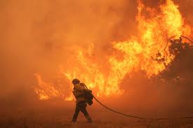 Canyon Fire Understanding Its Impact and Prevention